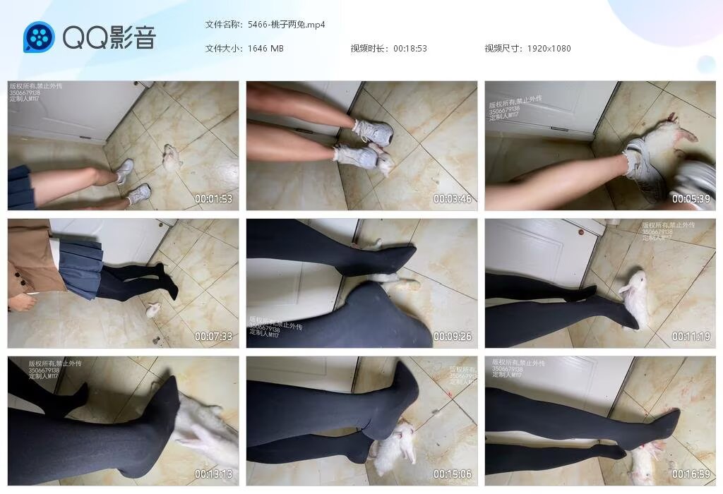 5466-桃子两兔[202